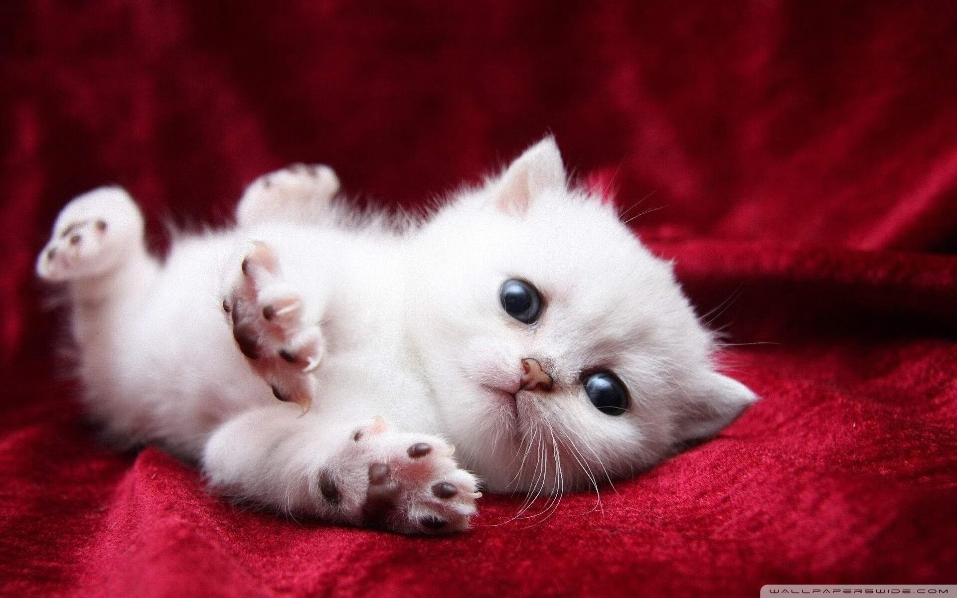 第一步，扩展思维，拟定文章标题