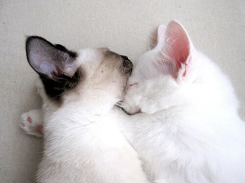 爱游戏在线-唯一之战，曼城横扫智利之夜，坎特如何一人扛起整片天空