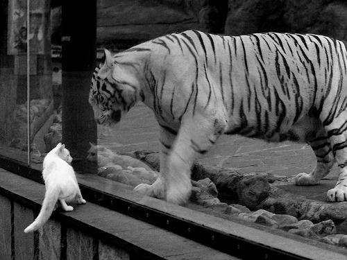 西甲德比之夜,为何太平洋对岸的小贾伦打出了世纪之战?