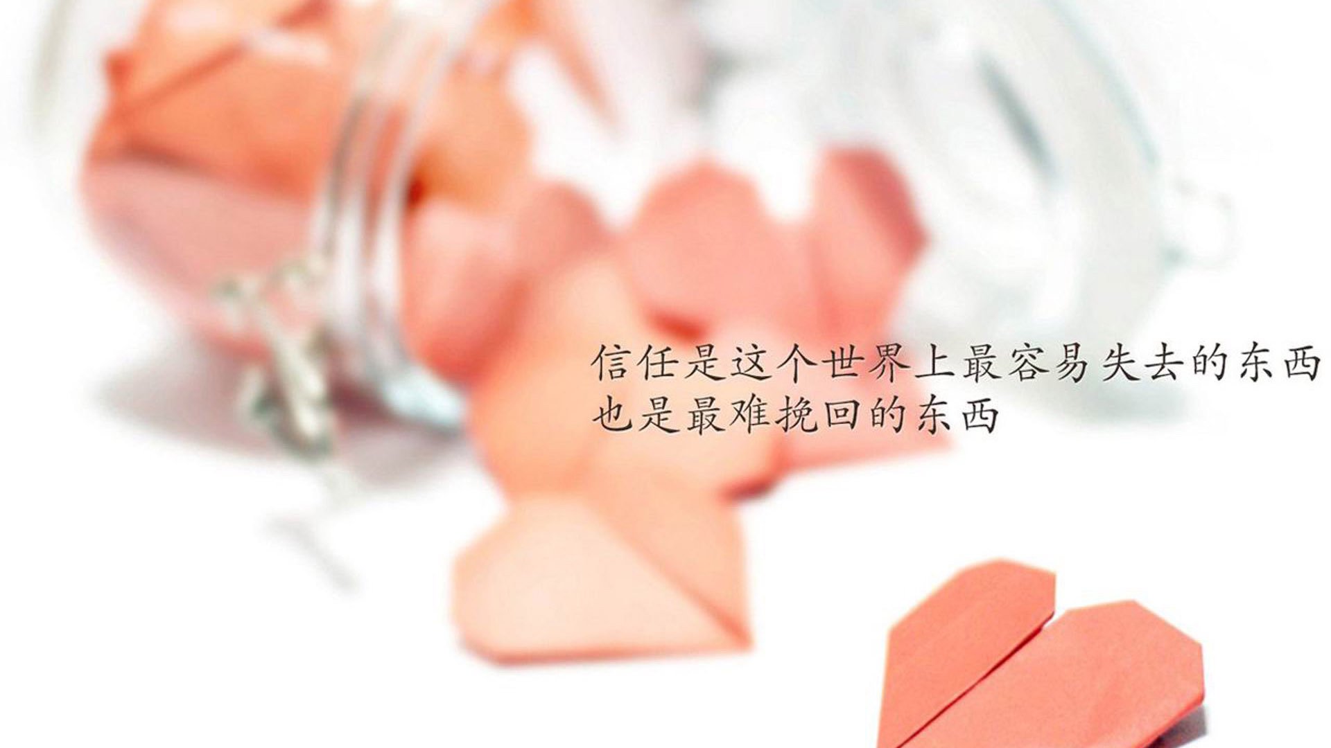 命运逆袭者联盟，当深圳翻盘辽宁与霍勒迪西决接管交汇于永恒一瞬