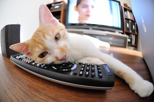 门迪，从地狱到天堂，用双手扼住命运之喉