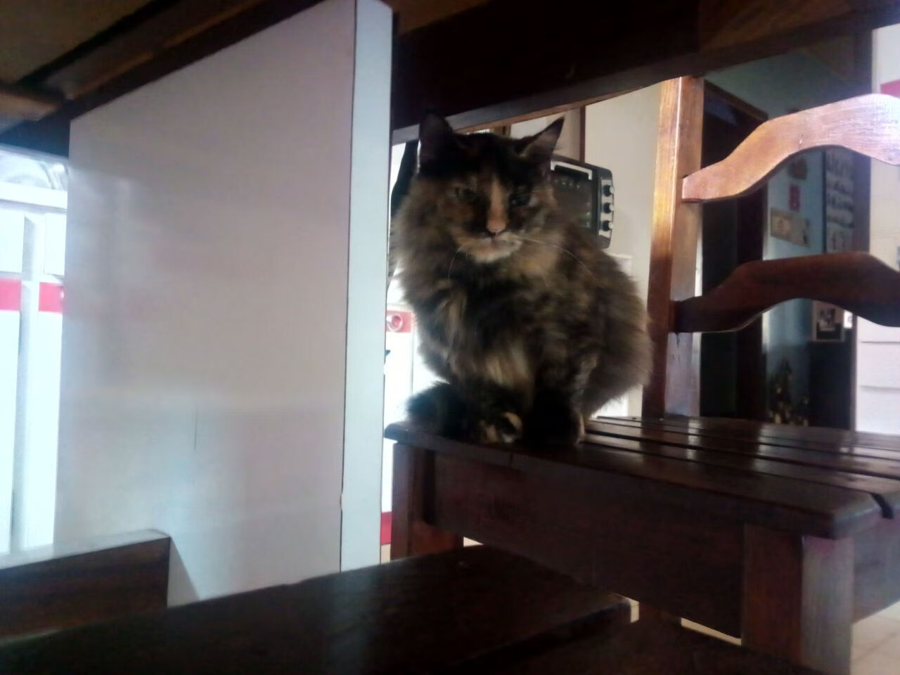 爱游戏体育-王朝冲垮！广东超级外援马克西全程高能，三分暴雨击溃国王