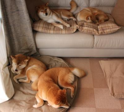 爱游戏大厅-半岛与金字塔的对话，当迪巴拉点燃意大利，埃及踏平北美壁垒