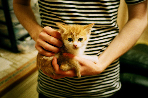 跨国大战的逆转狂潮，浙江队窒息式防守带走掘金，哈利伯顿末节统治力诠释关键先生