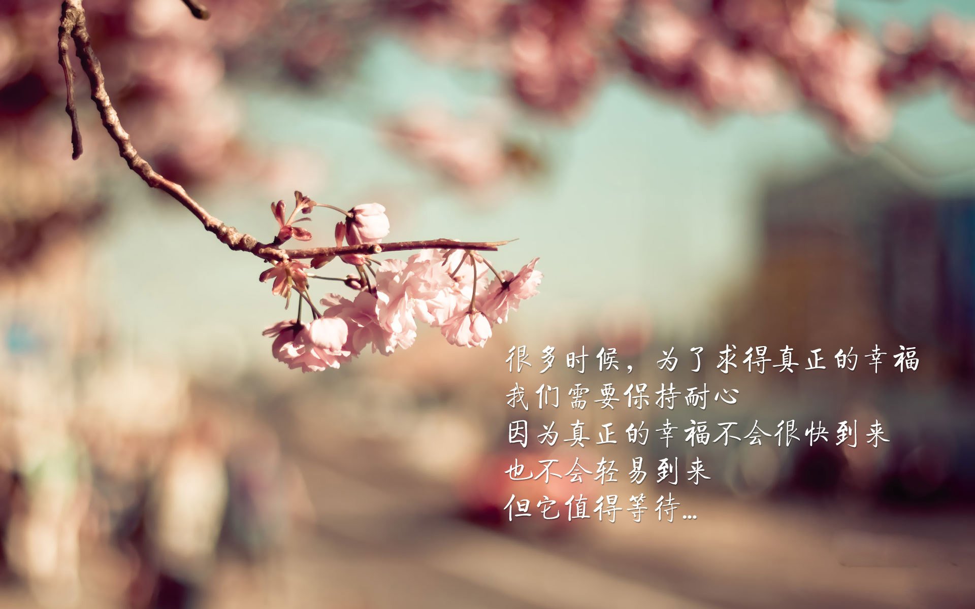 唯一性的对决，当尼日利亚遇见莱比锡红牛，维尼修斯的不掉线表演