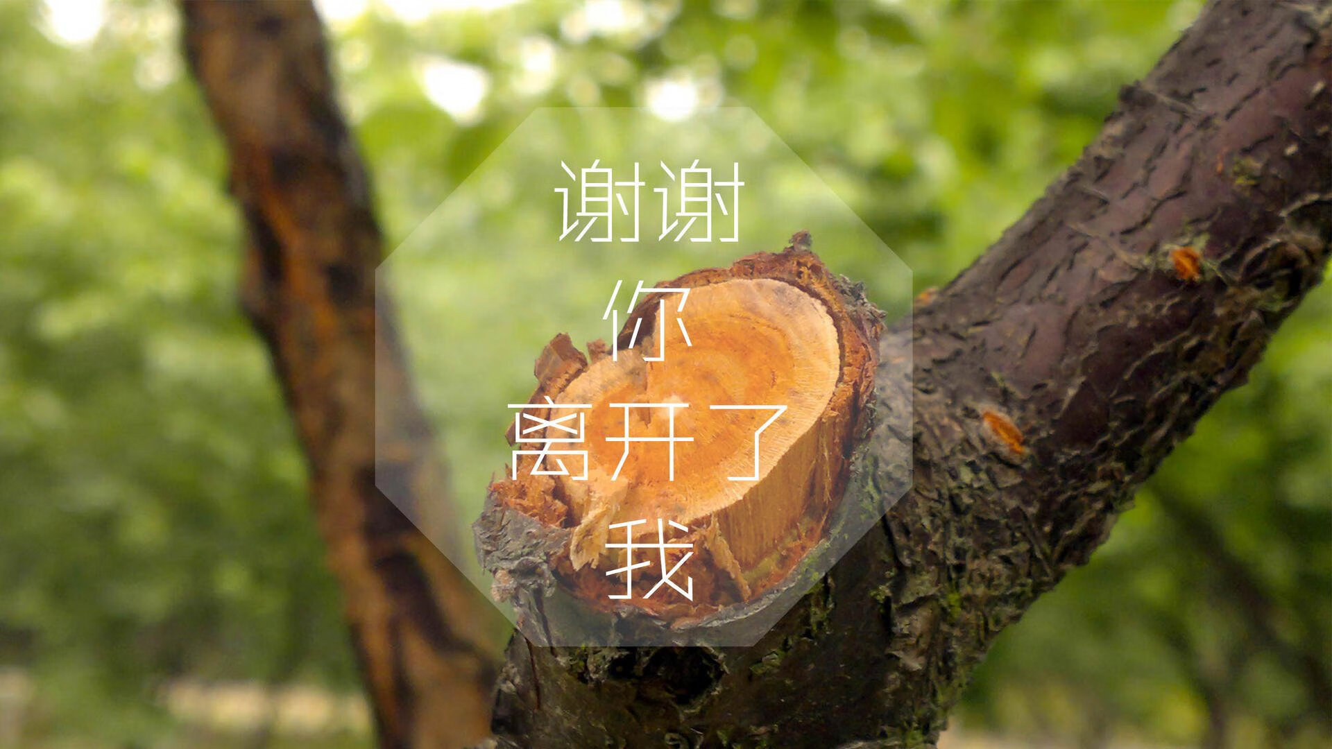 爱游戏入口-那一刻，足球只剩一种颜色，2026世界杯G组，英格兰绝杀美国，久保建英闪耀全场
