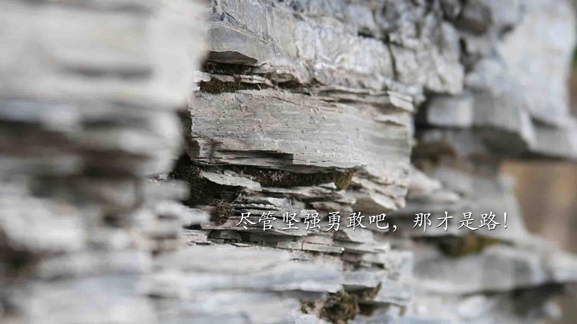 爱游戏在线-蓝军双星闪耀，替补奇兵定乾坤，2026世界杯F组焦点战，比利时大胜冰岛，哈基米诠释唯一领袖