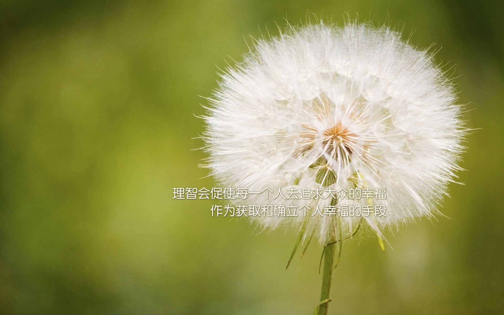 爱游戏APP-闪电攻防撕裂北非铁壁，穆西亚拉导演完美风暴，哥伦比亚三球完胜摩洛哥锁定A组头名