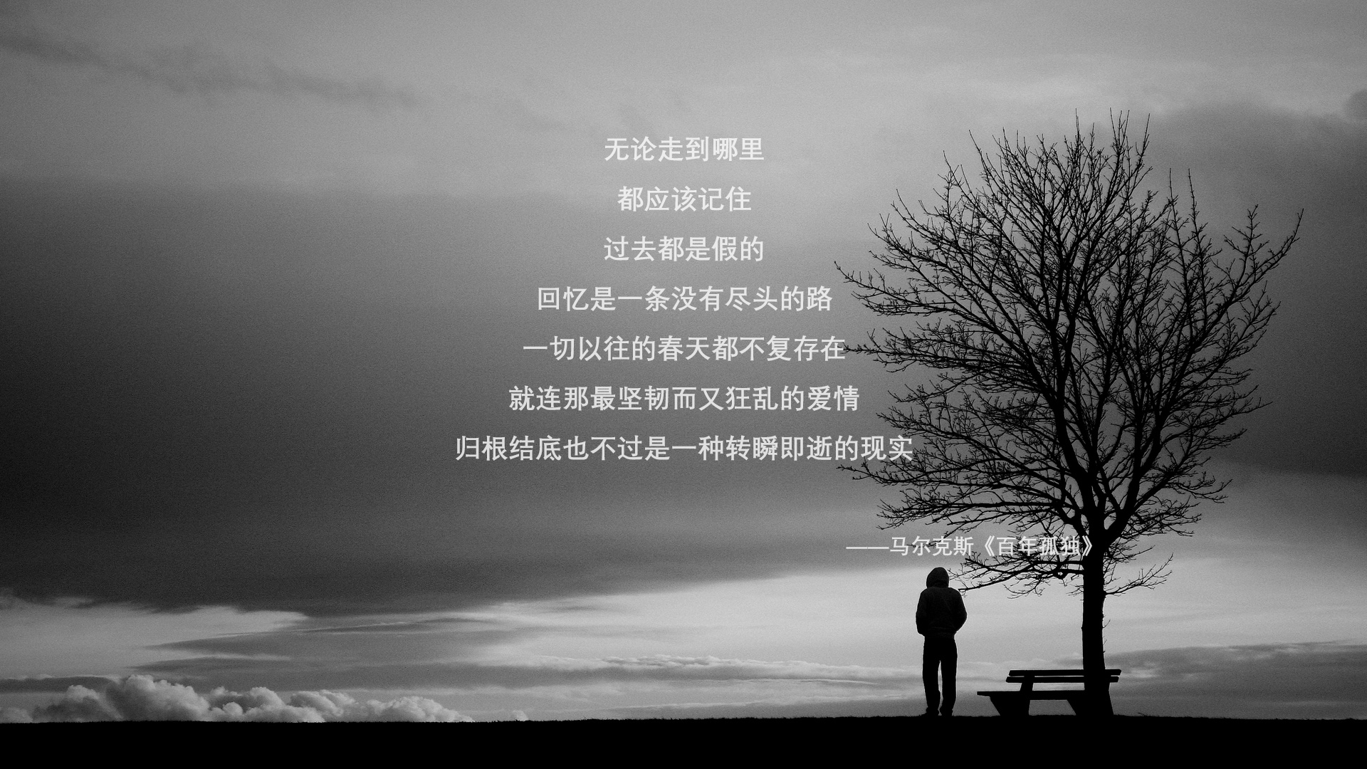 逆光之盾与利刃,当孙兴慜撕裂桑巴防线,伊朗门神却让整个星球屏息